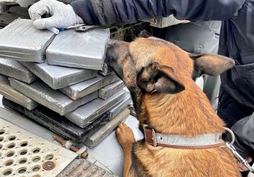 Бананы с кокаином: в порт под Одессой пятый раз за год пришла большая партия наркотиков