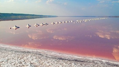 
Куяльницкий лиман в Одессе может исчезнуть
