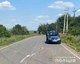 Полицейские расследуют обстоятельства ДТП в Подольском районе.