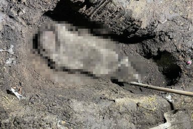 В Одесской области мужчину избили, заковали в наручники, а после смерти закопали