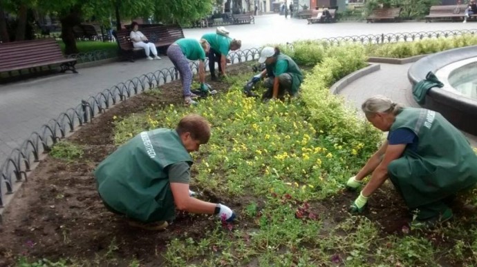 Более пяти тысяч ярких летних цветов украсили Одессу. ФОТО