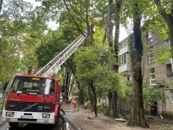 В Одессе оперативно устраняют последствия ночной непогоды