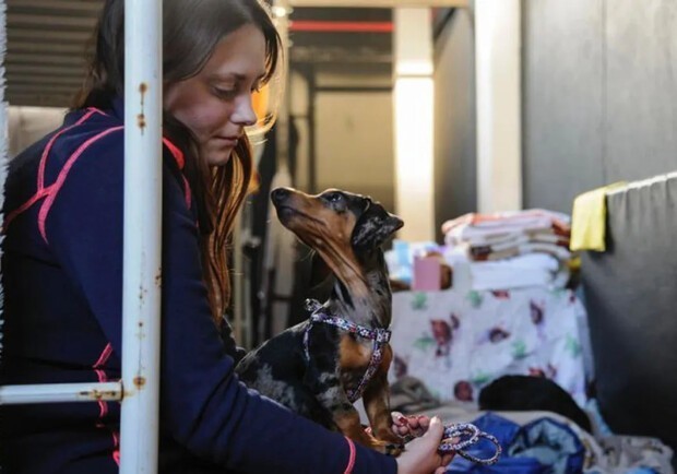 В Украине официально разрешили находиться в укрытиях с домашними животными
