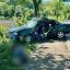 Полицейские расследуют обстоятельства ДТП в Подольском районе, в котором погиб водитель и травмировался его маленький сын