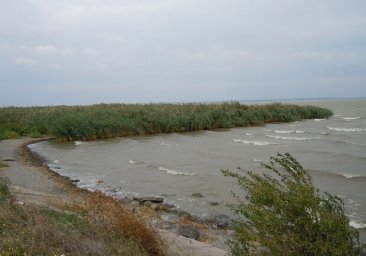 
На каких озерах в Одесской области можно купаться и ловить рыбу
