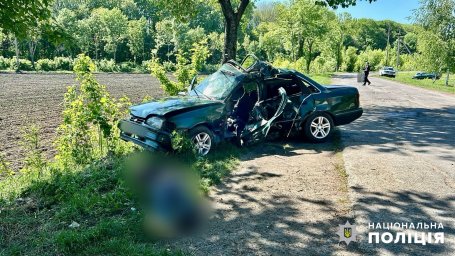 Полицейские расследуют обстоятельства ДТП в Подольском районе, в котором погиб водитель и травмировался его маленький сын